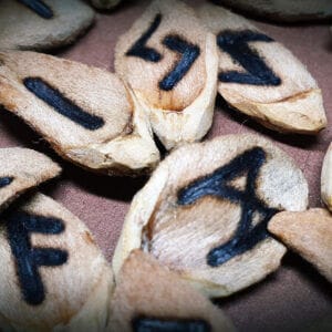 Handgefertigtes Runenset aus Bucheckern-Schalen – älteres Futhark