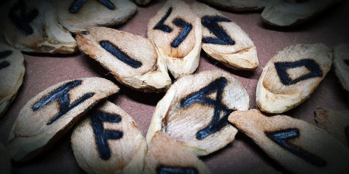 Handgefertigtes Runenset aus Bucheckern-Schalen – älteres Futhark