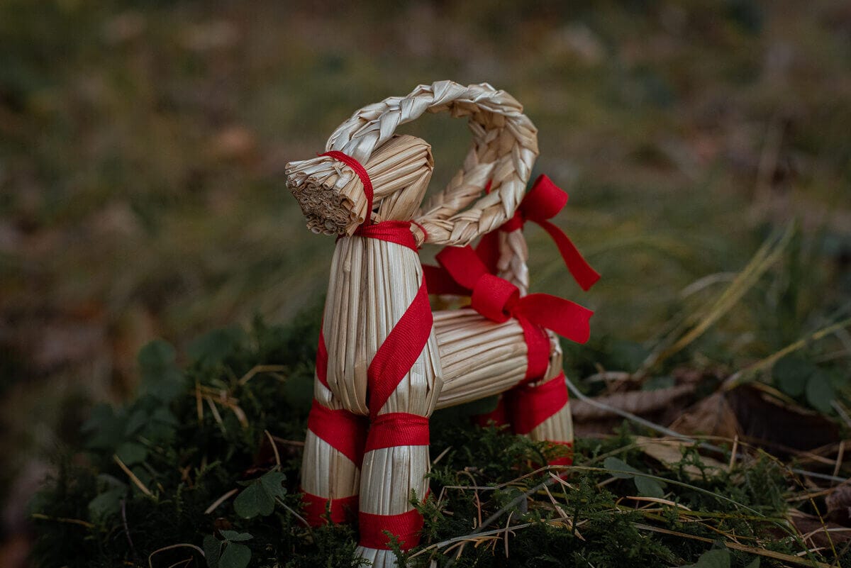 Julbock auf der Wiese